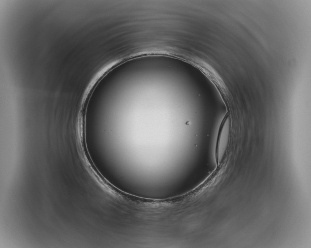 X0000116670804200912141339