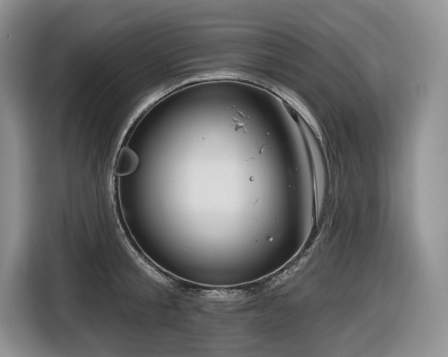 X0000116670805200912141339