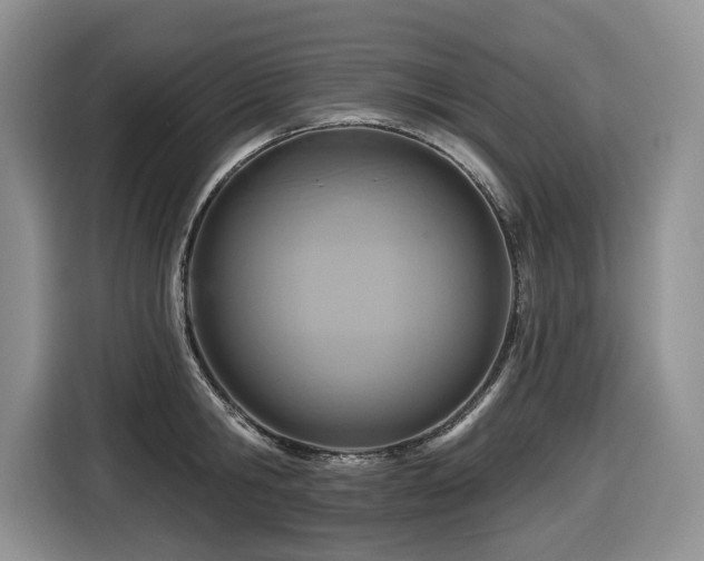 X0000116670806200912141339