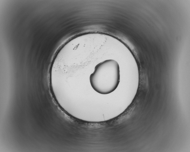 X0000116670807200912141339