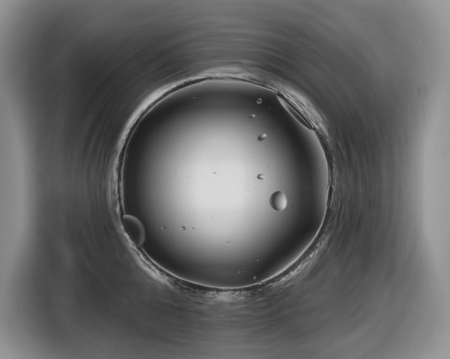 X0000116670808200912141339