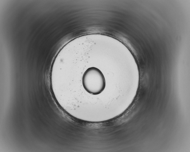 X0000116670810200912141339