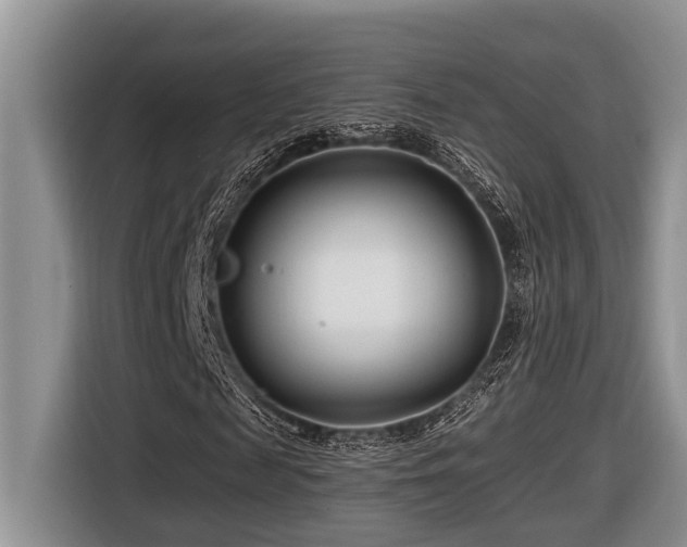 X0000116670817200912141338