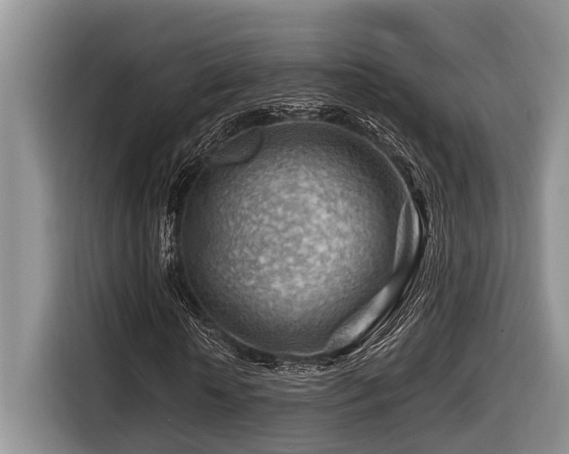 X0000116670818200912141338