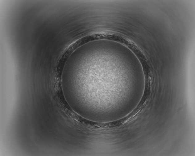 X0000116670822200912141339