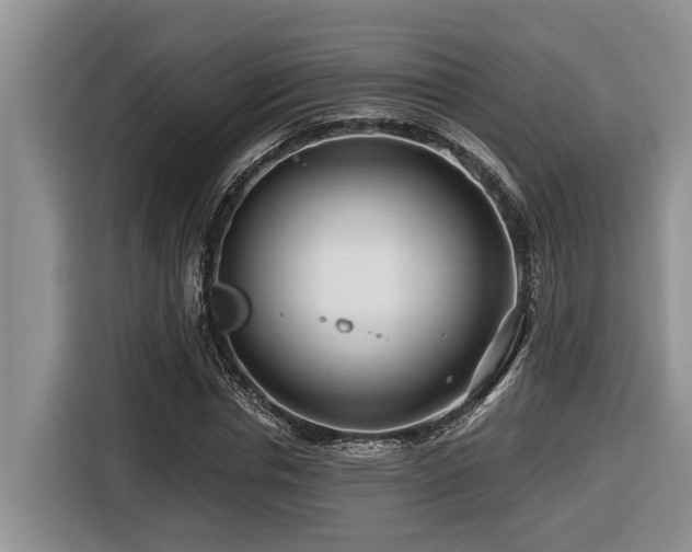 X0000116670826200912141339