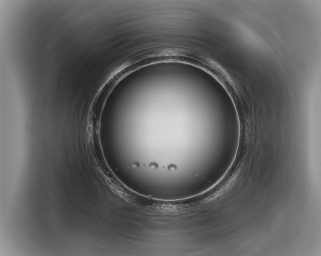 X0000116670827200912141339