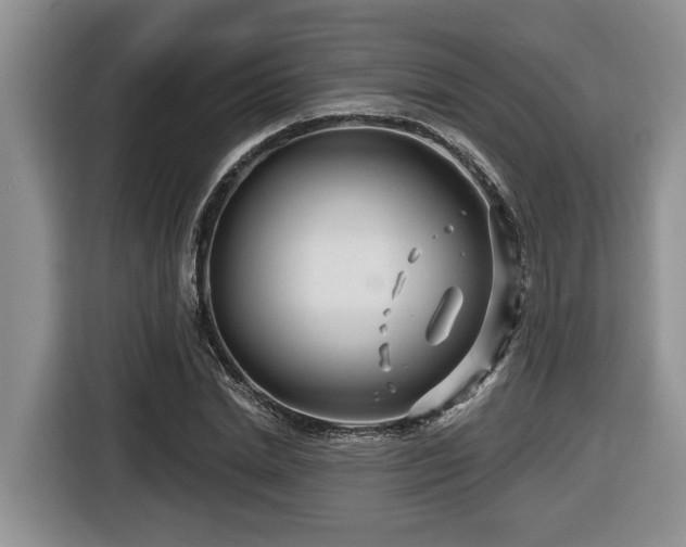 X0000116670830200912141339