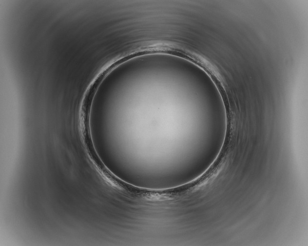 X0000116670835200912141339