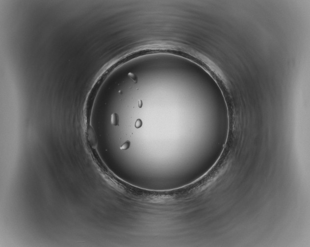 X0000116670837200912141339