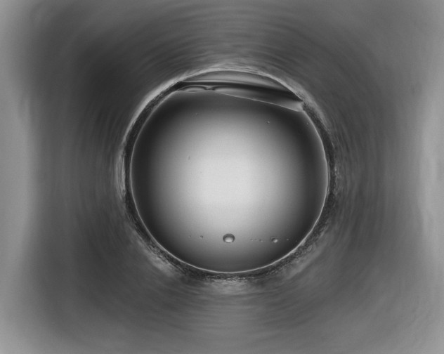 X0000116670838200912141339