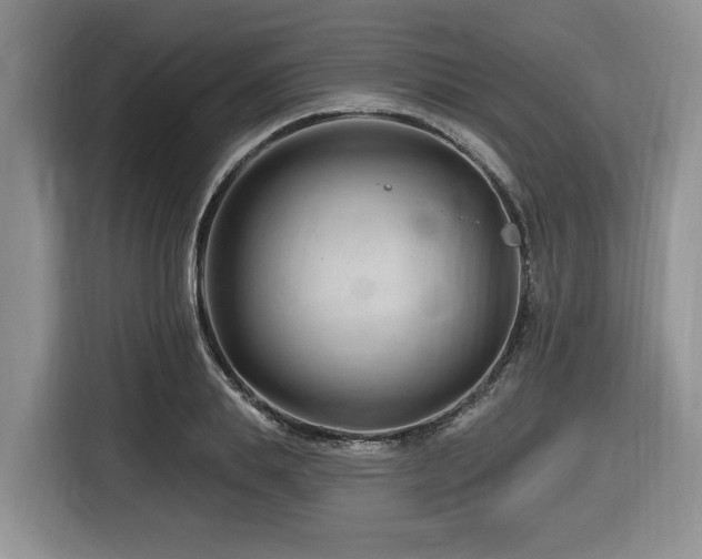 X0000116670839200912141339