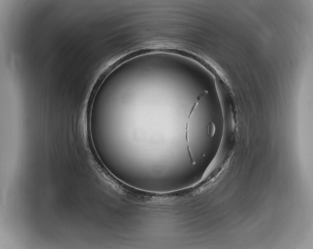 X0000116670840200912141339