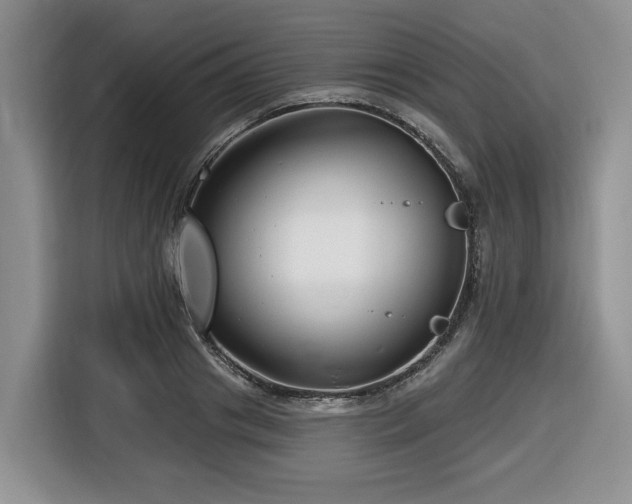 X0000116670841200912141339