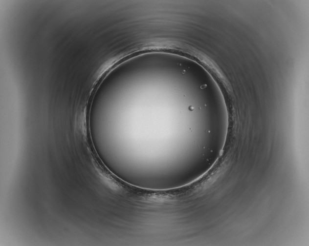 X0000116670842200912141339