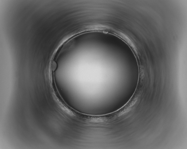 X0000116670843200912141339