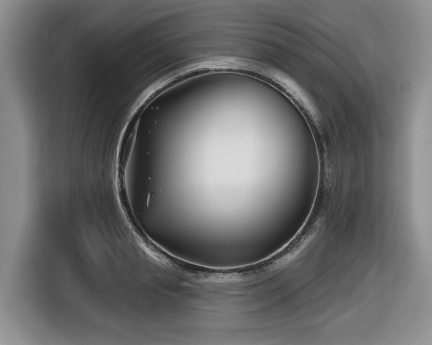 X0000116670845200912141339