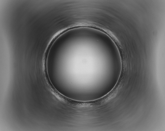 X0000116670846200912141339