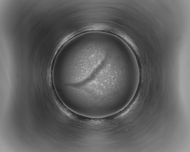 X0000116670850200912141339