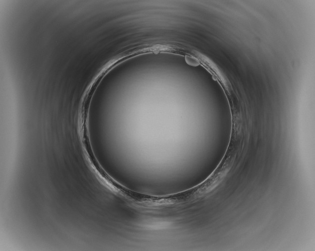 X0000116670851200912141339