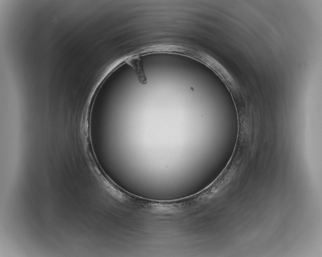 X0000116670852200912141339