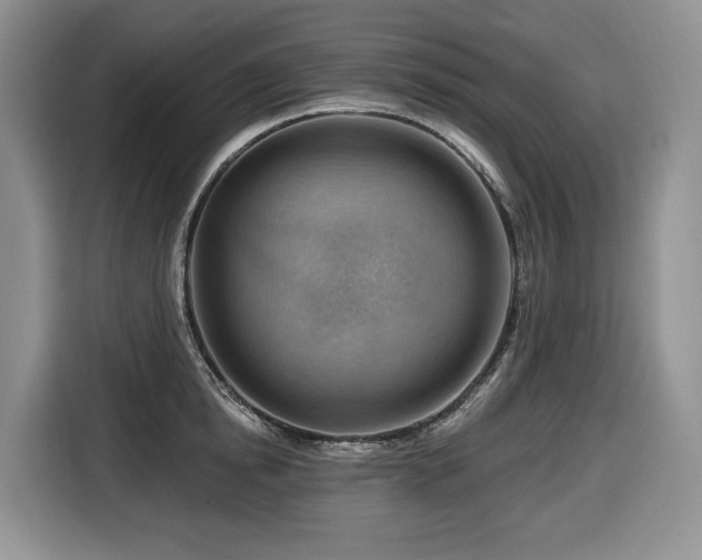 X0000116670854200912141339