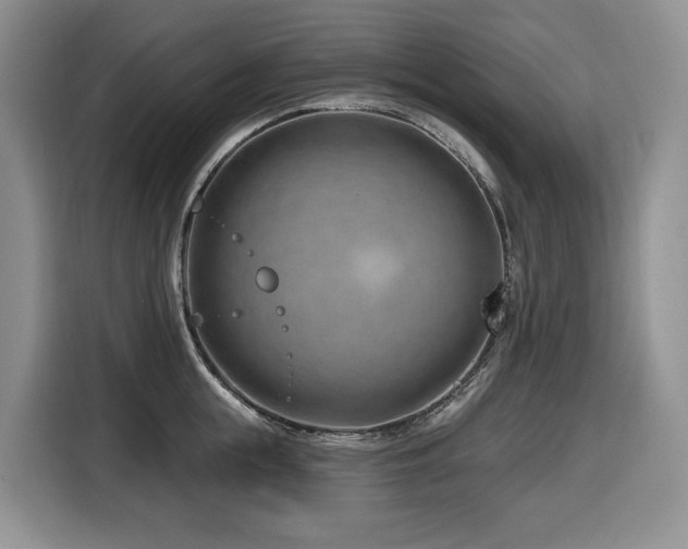 X0000116670855200912141339