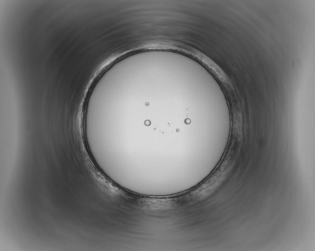 X0000116670856200912141339