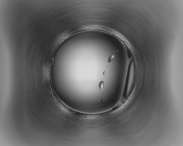 X0000116670857200912141339