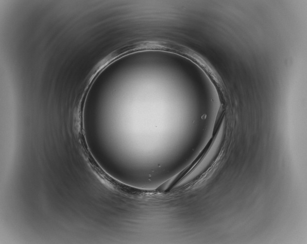 X0000116670858200912141339