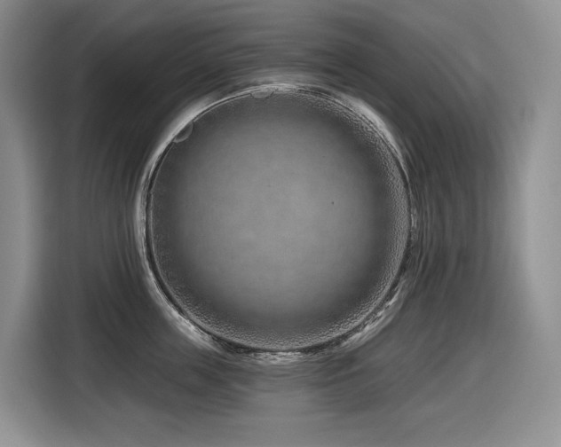 X0000116670859200912141339