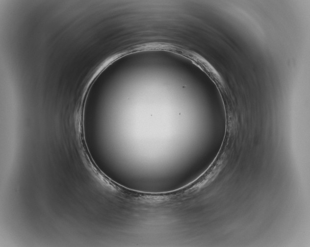 X0000116670860200912141339