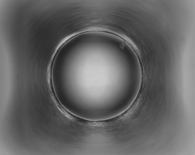 X0000116670862200912141339