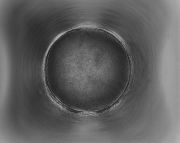 X0000116670864200912141339