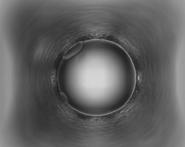 X0000116670867200912141338