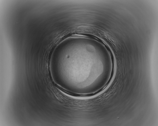 X0000116670868200912141338