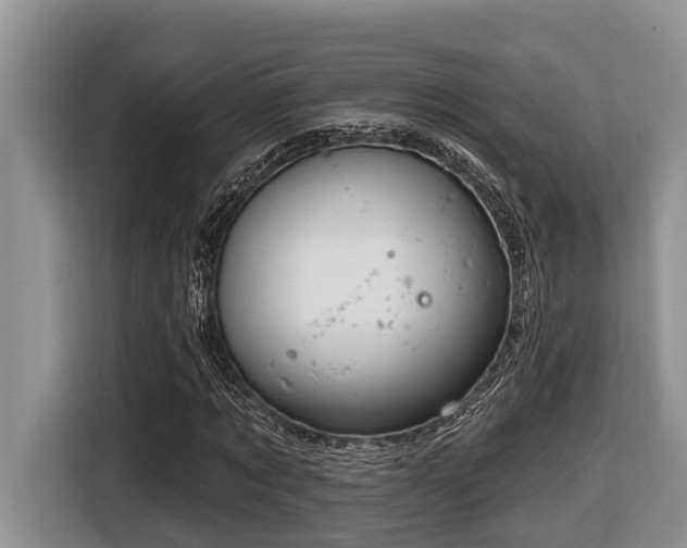 X0000116670869200912141338