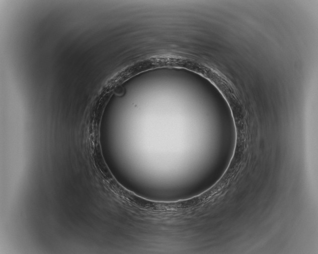 X0000116670870200912141338