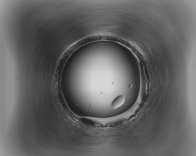 X0000116670872200912141338