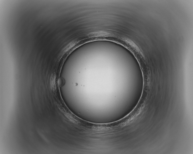 X0000116670873200912141338