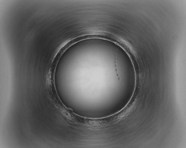 X0000116670875200912141338