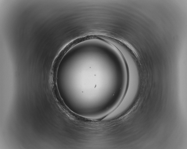 X0000116670878200912141338