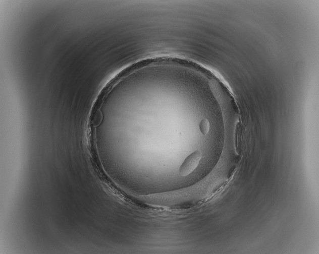 X0000116670879200912141338