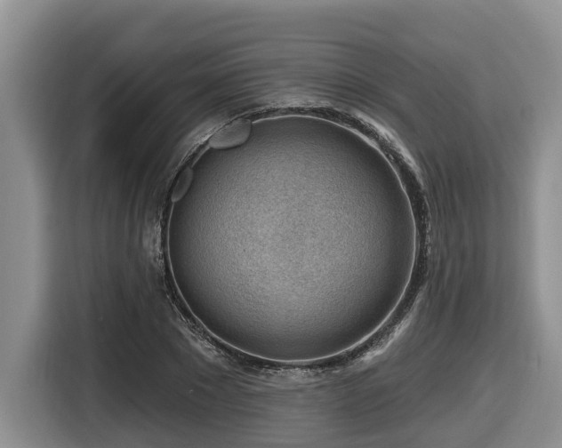 X0000116670881200912141338