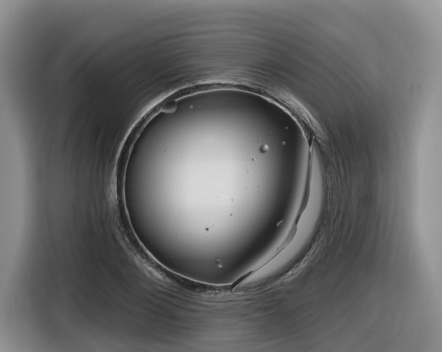 X0000116670884200912141338