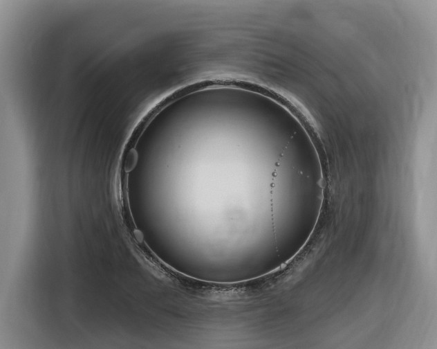 X0000116670887200912141338