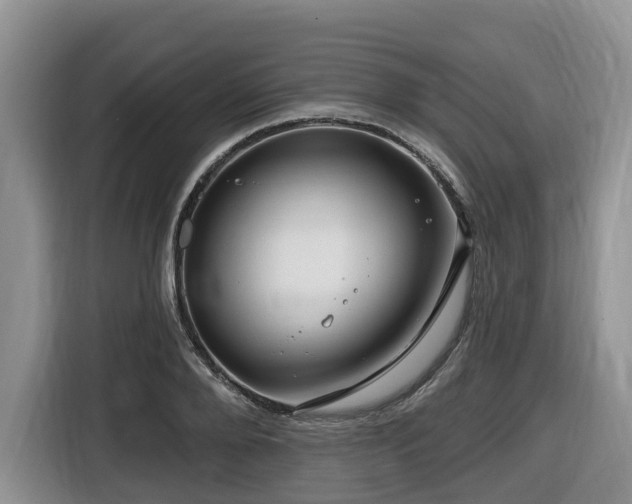 X0000116670888200912141338