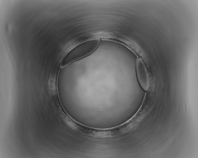 X0000116670889200912141338