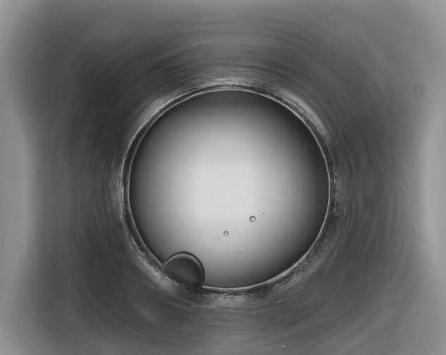 X0000116670890200912141338