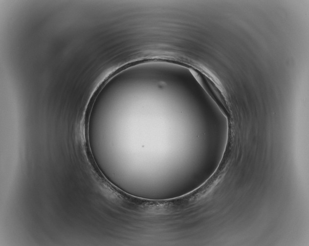 X0000116670891200912141338